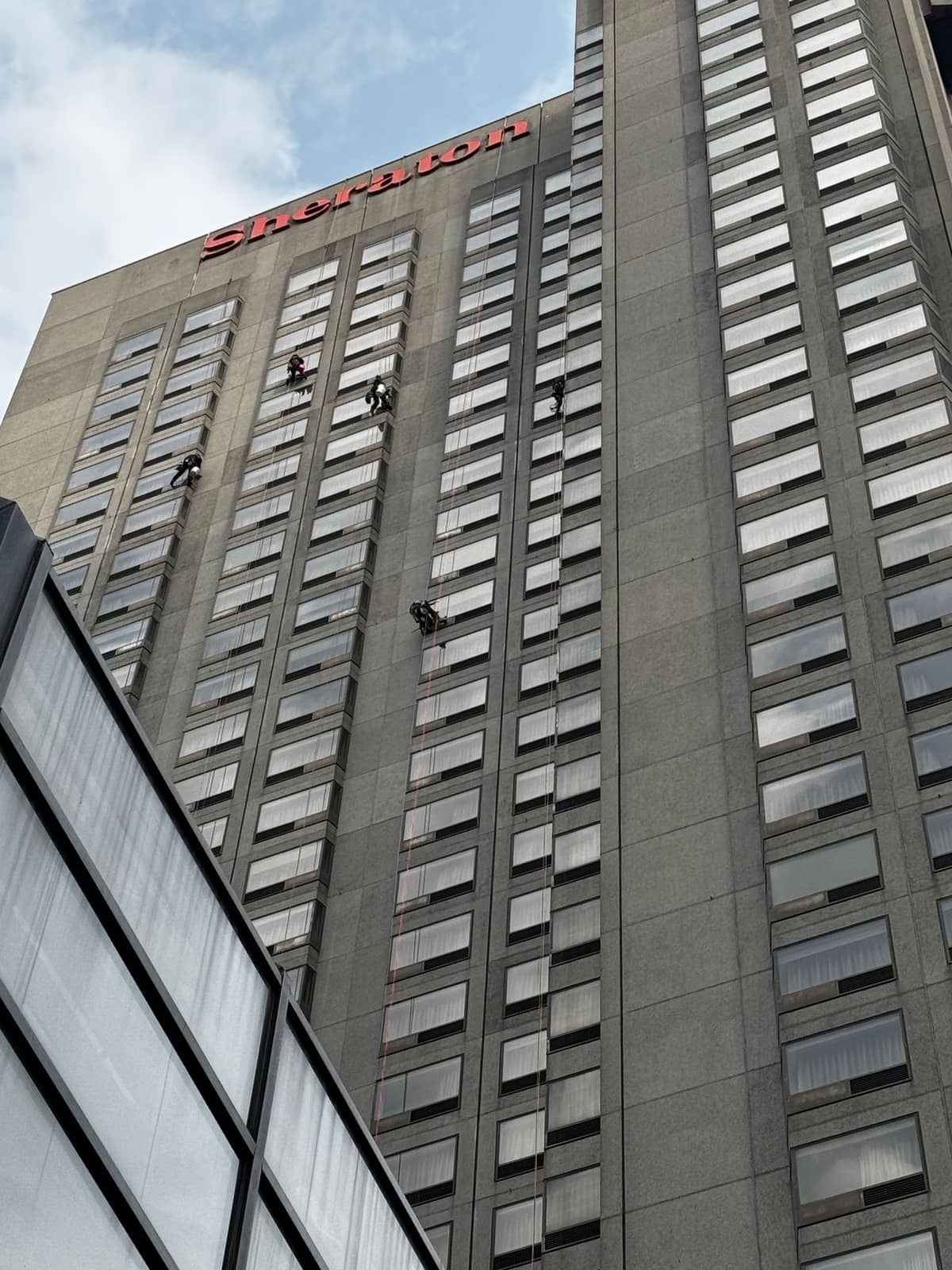 Cordistes lavant les vitres d'une tour du centre-ville